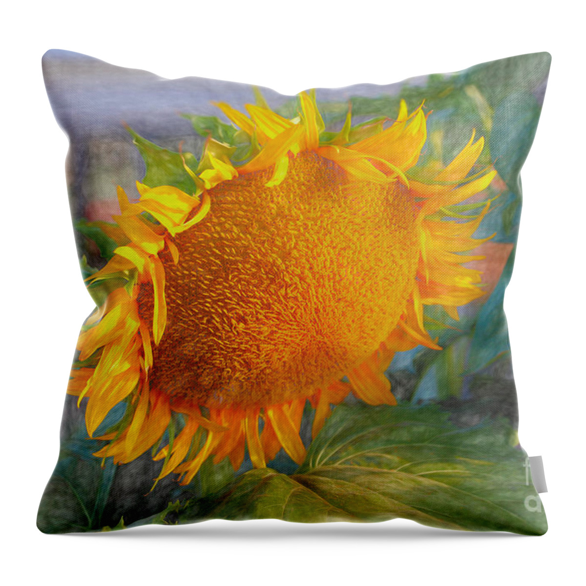 Sunflowers Throw Pillow featuring the photograph Beauty of a sunflower by Janice Drew