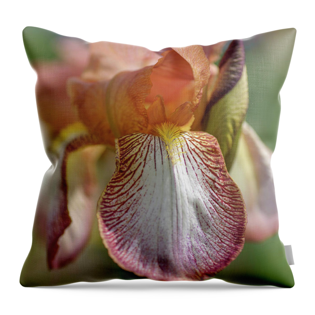Jenny Rainbow Fine Art Photography Throw Pillow featuring the photograph Beauty Of Irises. Hochspannung by Jenny Rainbow