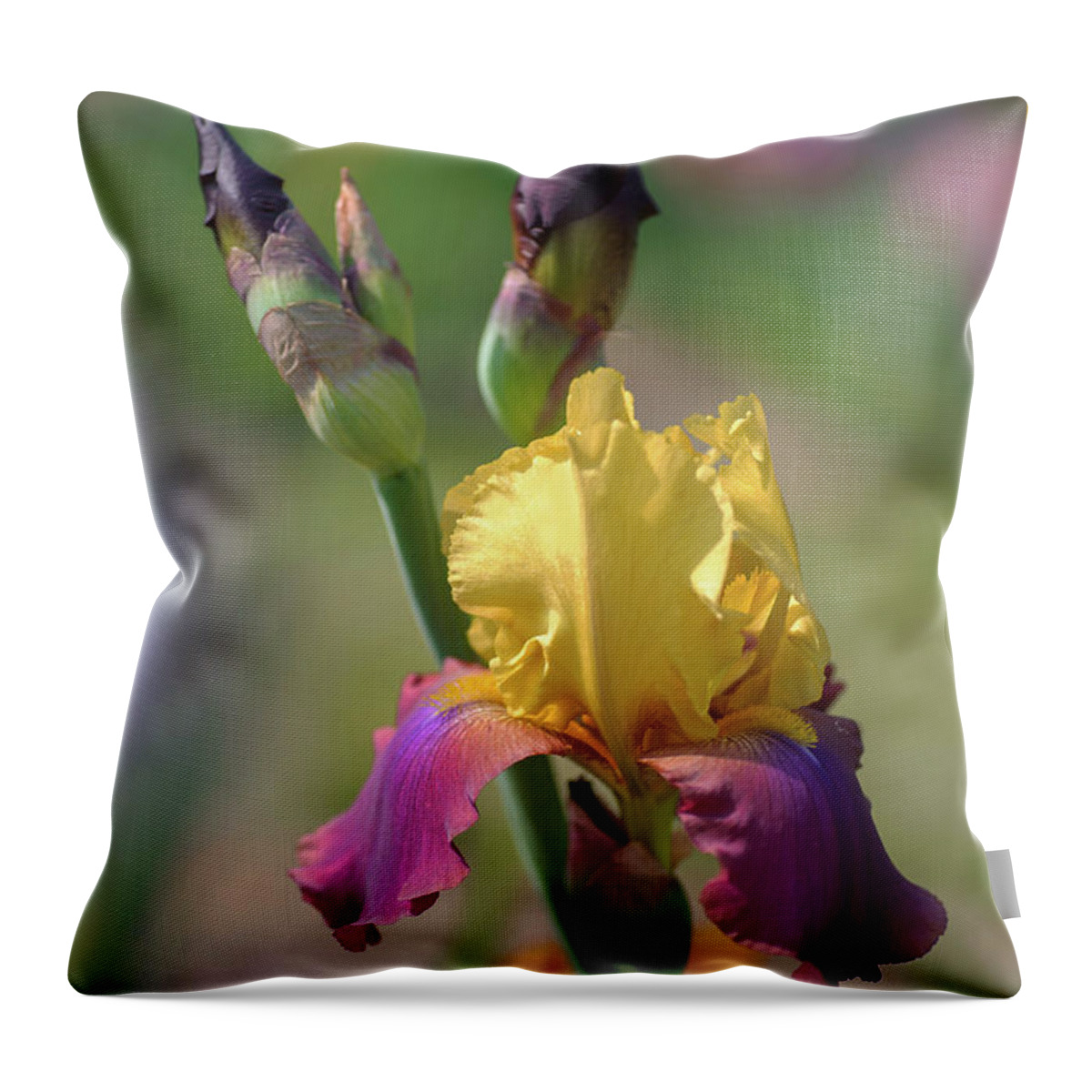 Jenny Rainbow Fine Art Photography Throw Pillow featuring the photograph Beauty Of Irises. Milestone 1 by Jenny Rainbow