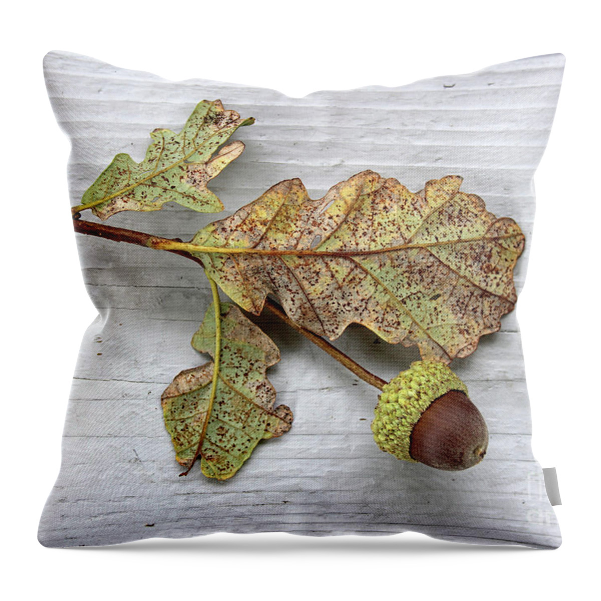 Oak Throw Pillow featuring the photograph Beauty of the Fall by Karen Adams