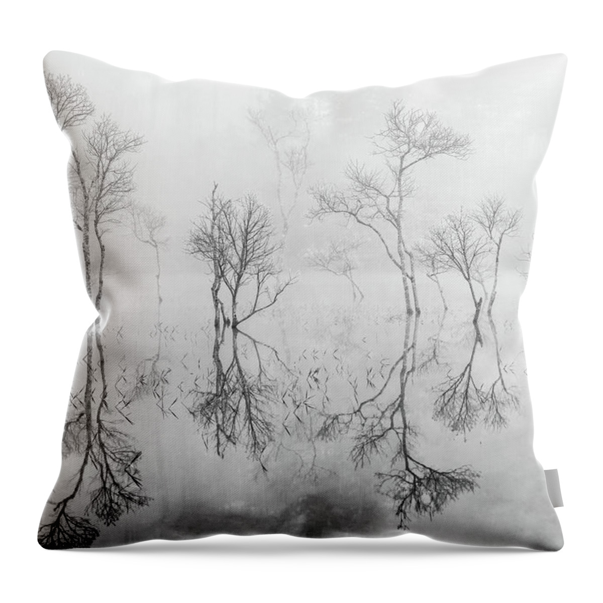 Awesome Throw Pillow featuring the photograph Beauty Winter by Khanh Bui Phu