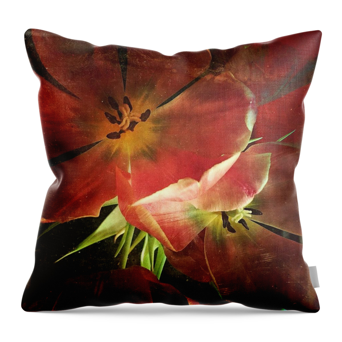 Tulips Throw Pillow featuring the photograph Becoming by Jennifer Preston
