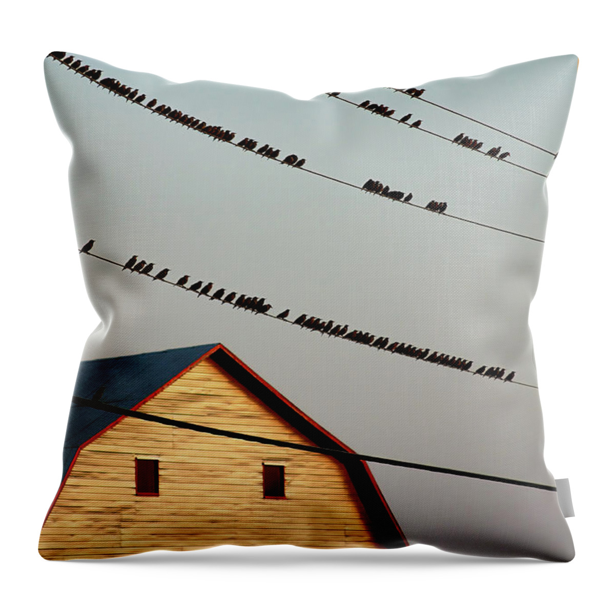 Bed Time Throw Pillow featuring the photograph Bedtime in Quebec, Canada by Tatiana Travelways