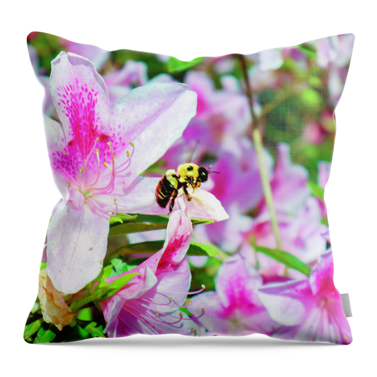Azaleas Throw Pillow featuring the photograph Bee Happy by Ed Williams