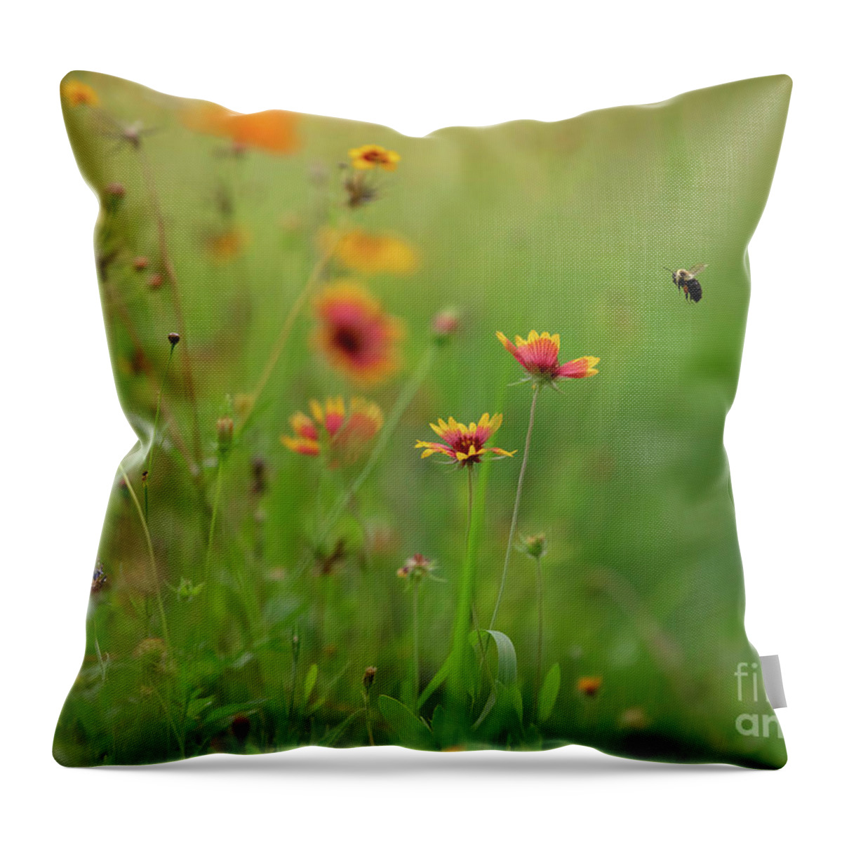 Bee Throw Pillow featuring the photograph Bee in the Blanket Flowers by Diane Diederich