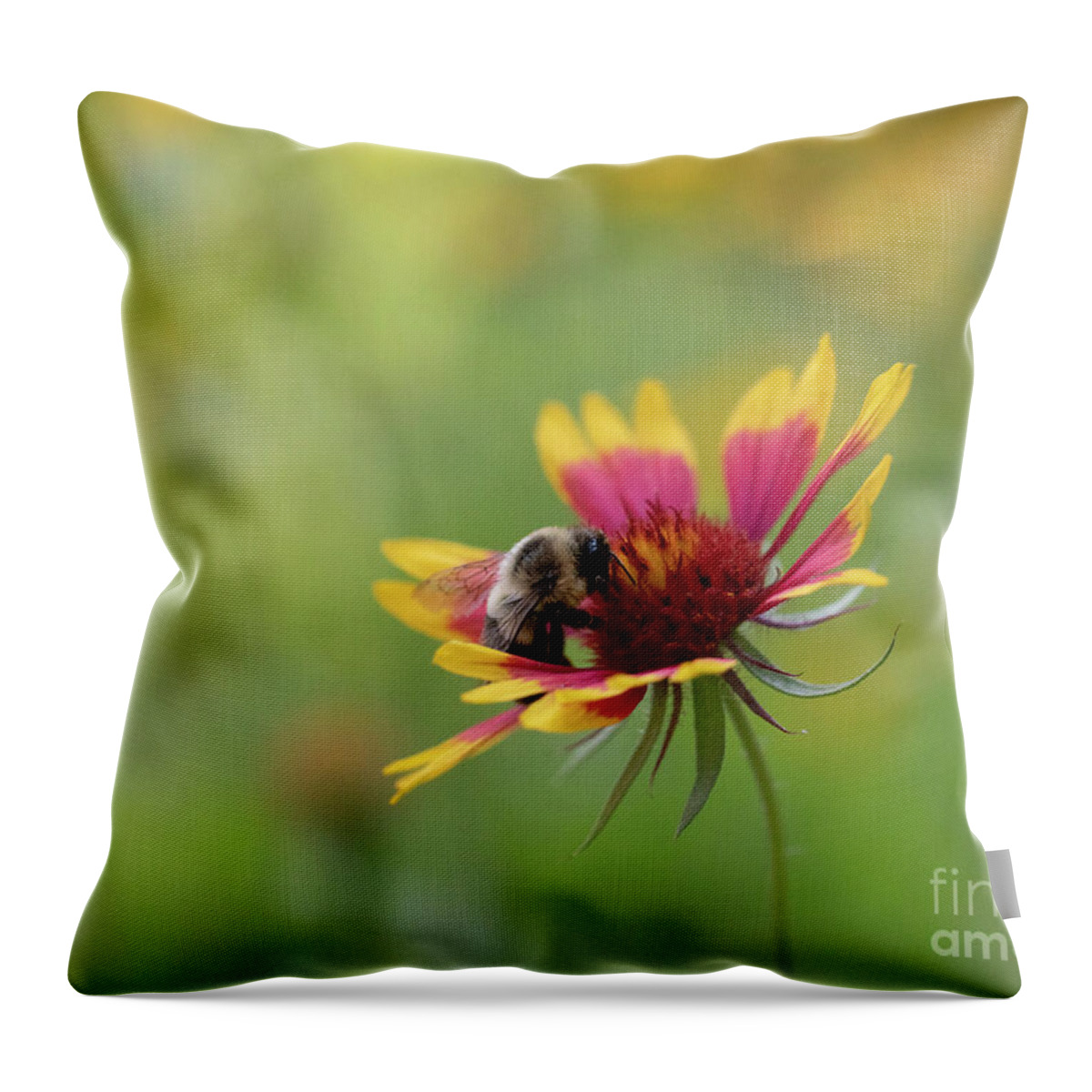  Throw Pillow featuring the photograph Bee on a Blanket Flower by Diane Diederich