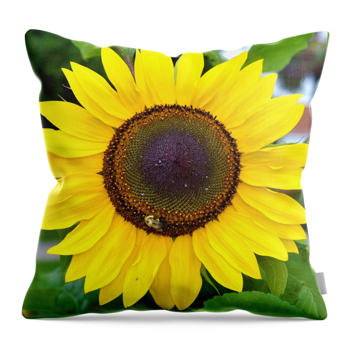 Orange Throw Pillow featuring the photograph Bee on Sunflower 8 by James Cousineau