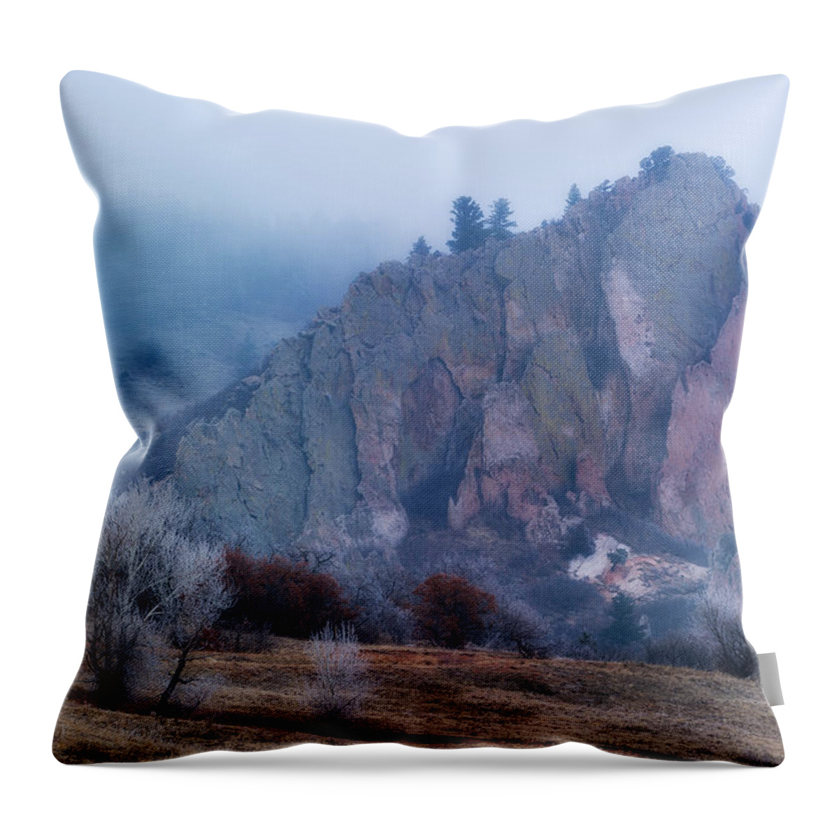 Co Throw Pillow featuring the photograph Bee Rock by Doug Wittrock