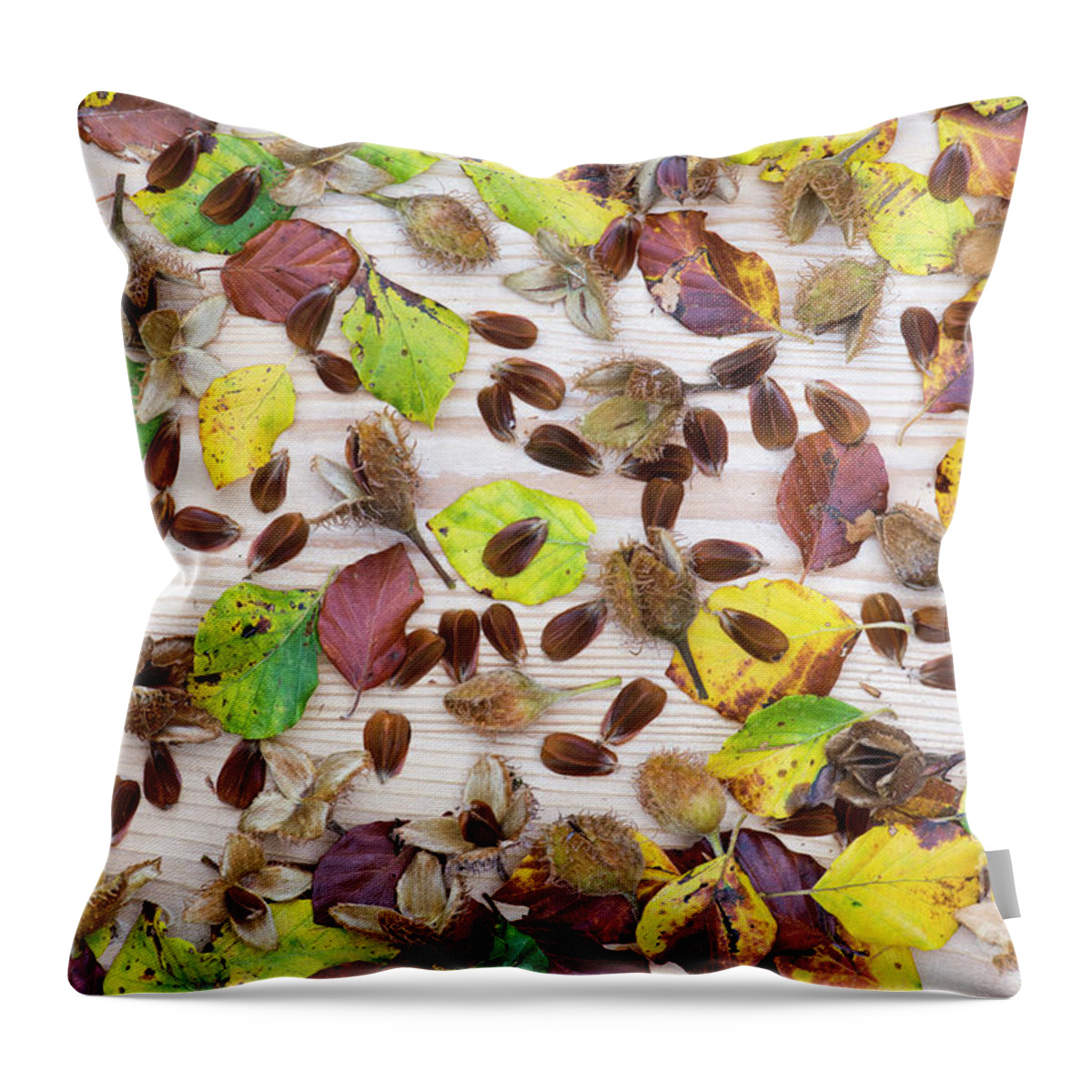 Beechnuts Throw Pillow featuring the photograph Beechnuts and Autumn Leaves by Tim Gainey