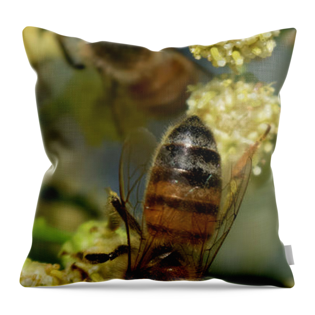 Bee Throw Pillow featuring the photograph Bees on Desert Broom by Bonny Puckett