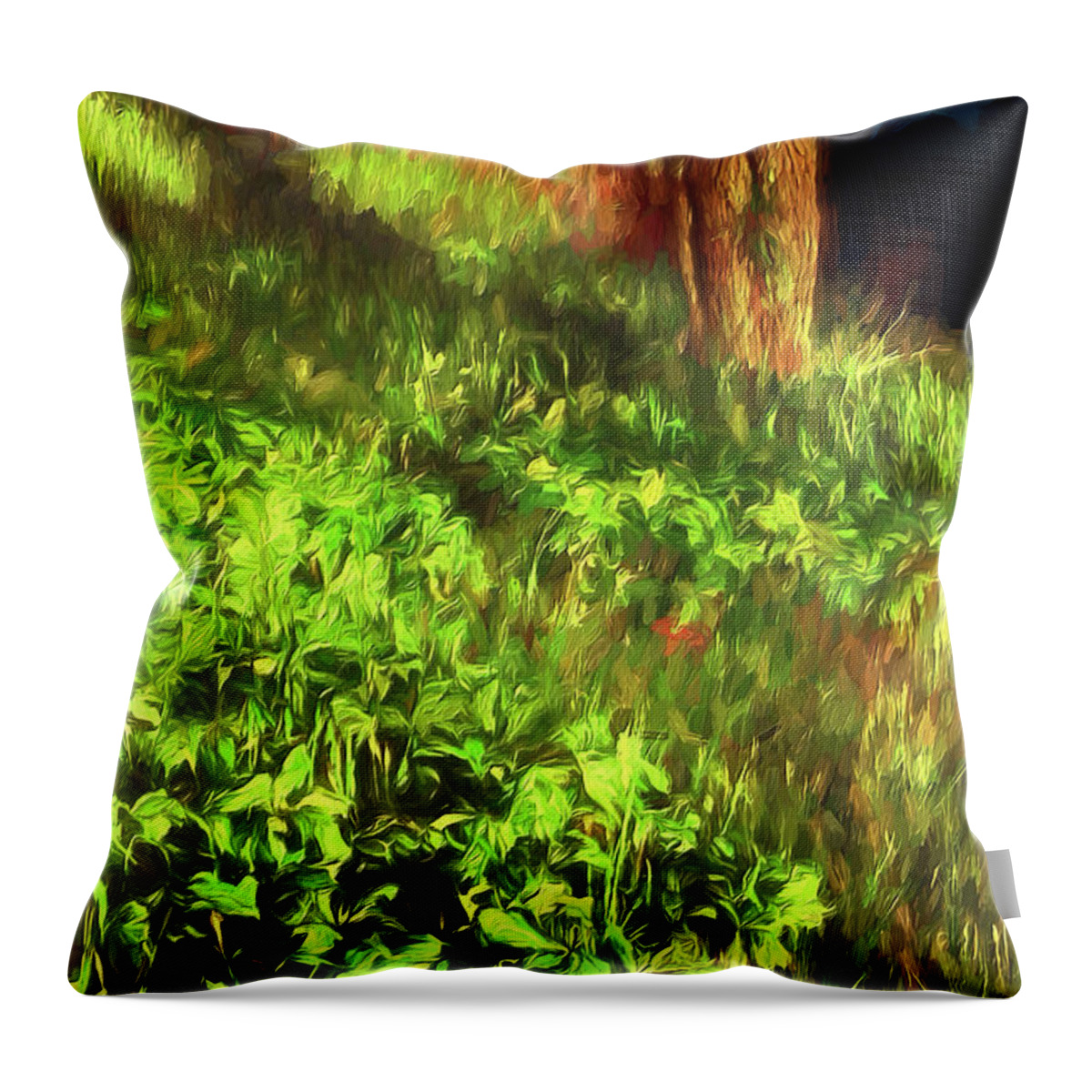 North Carolina Throw Pillow featuring the photograph Before the Break of a May Day ap by Dan Carmichael