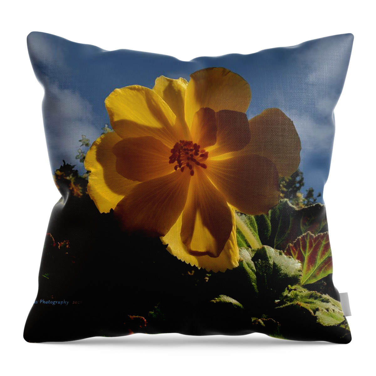Digital Painting Throw Pillow featuring the photograph Begonia Cumulus Sky by Richard Thomas
