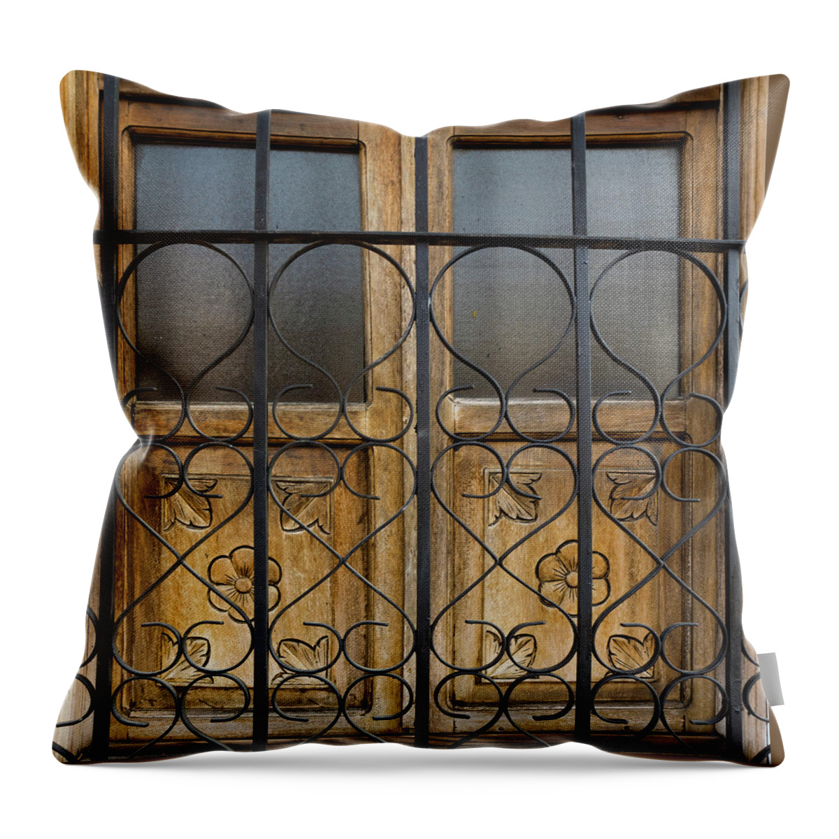 Doors Throw Pillow featuring the photograph Behind Closed Doors by Leslie Struxness