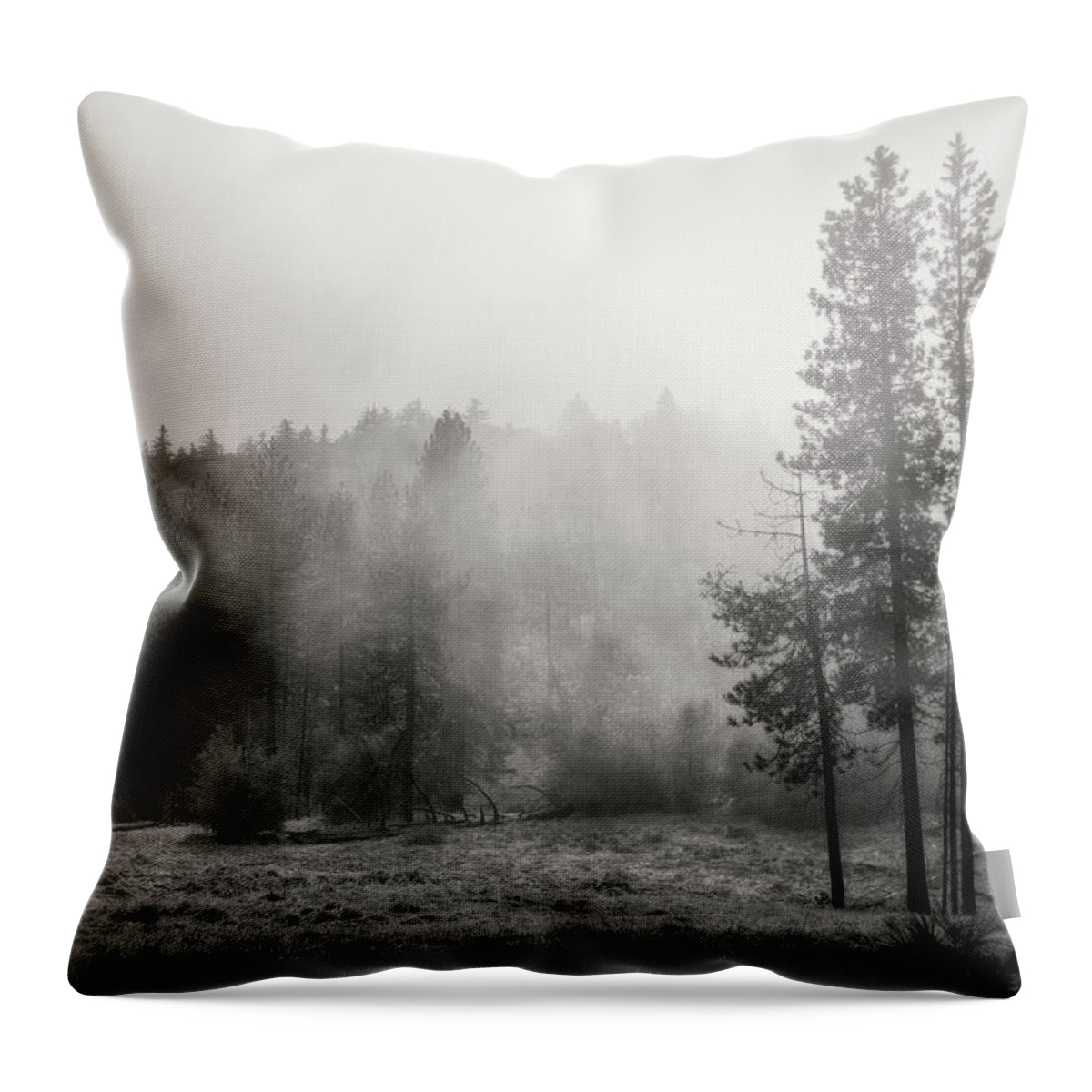 Trees Throw Pillow featuring the photograph Behind the Curtain by Ryan Weddle