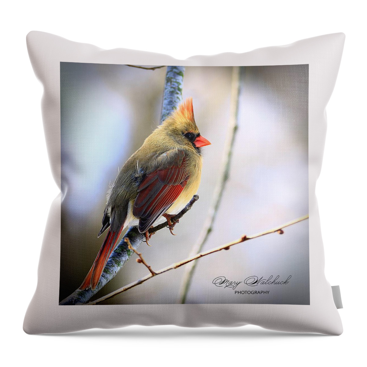 Female Cardinal Throw Pillow featuring the photograph Behold the Beauty by Mary Walchuck