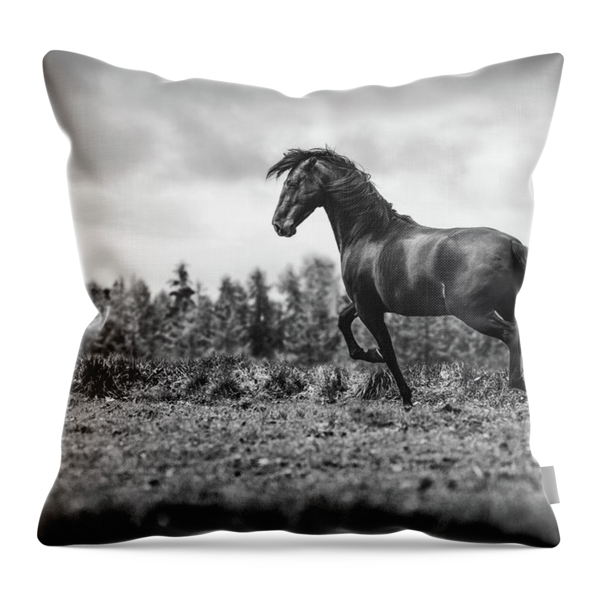 Horse Throw Pillow featuring the photograph Believe II - Horse Art by Lisa Saint