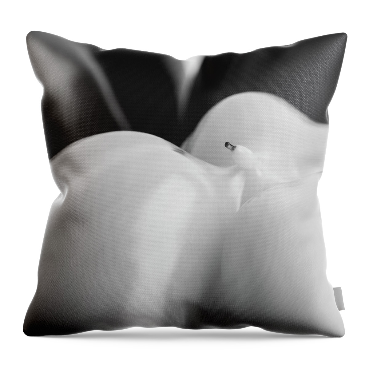 Agriculture Throw Pillow featuring the photograph Bell Peppers Black and White by Todd Bannor