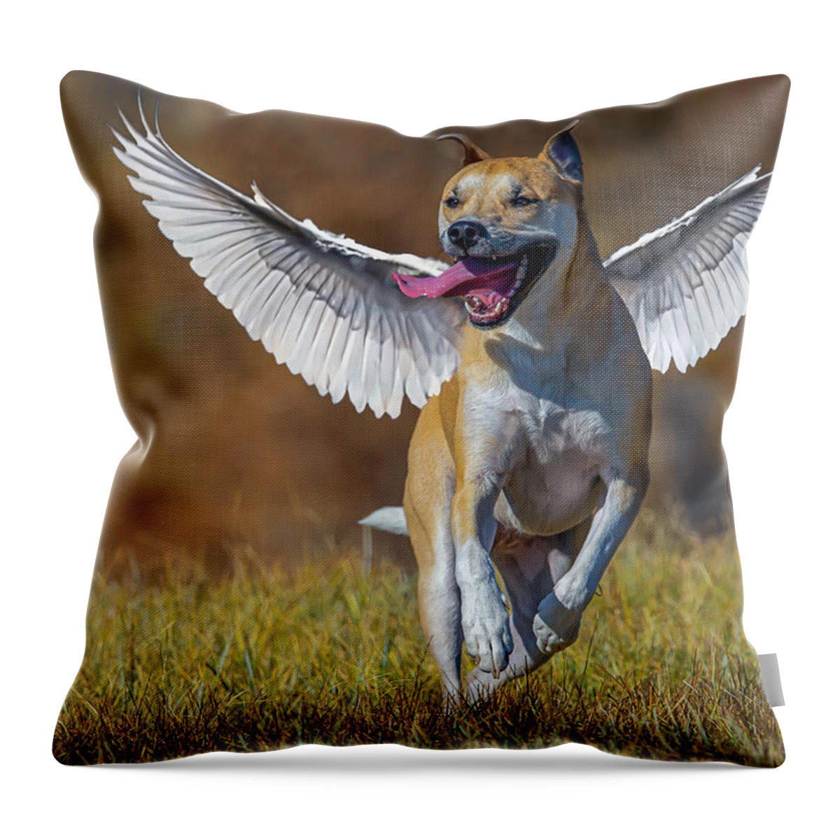 Dog Throw Pillow featuring the photograph Bella Angel 2 by Rick Mosher