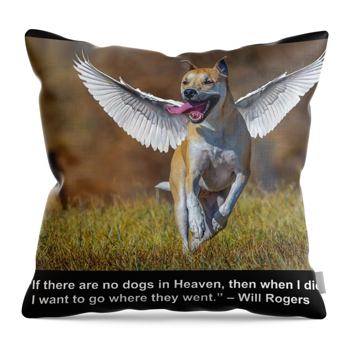 Dog Throw Pillow featuring the photograph Bella Angel by Rick Mosher