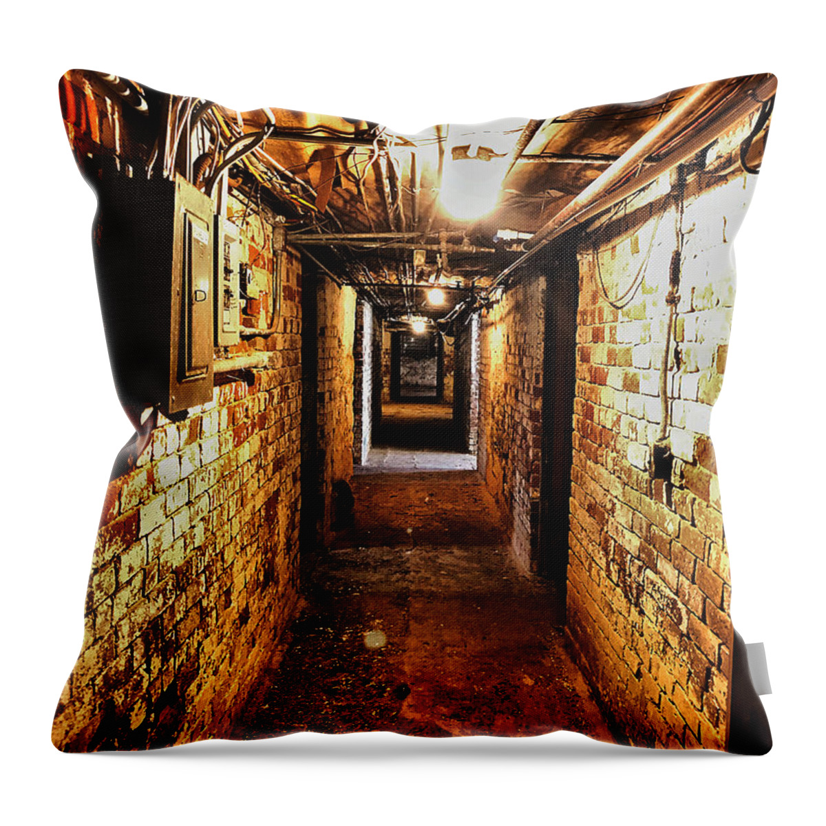 Throw Pillow featuring the photograph Bellmead basement by Stephen Dorton