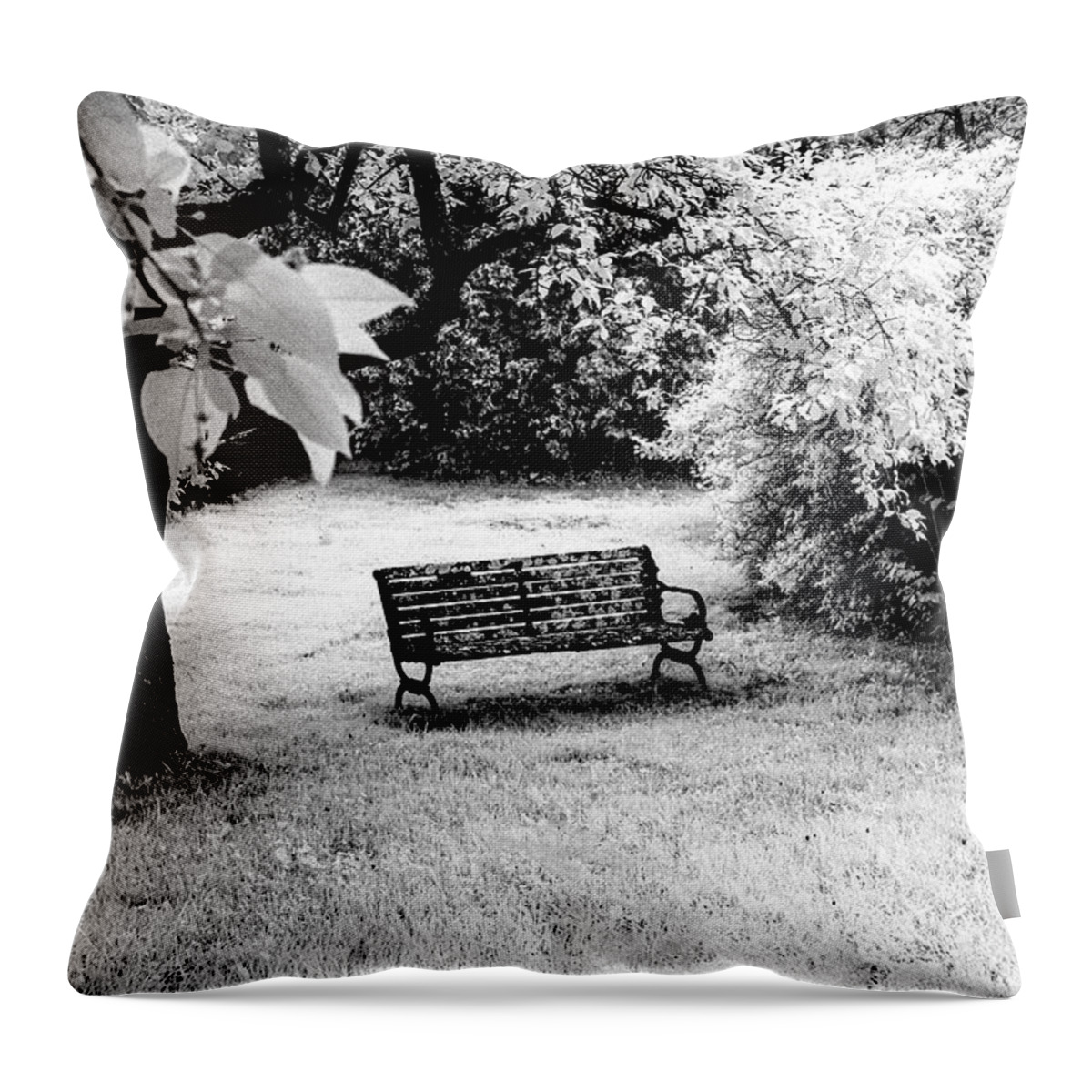 East Dover Vermont Throw Pillow featuring the photograph Bench In Black And White by Tom Singleton