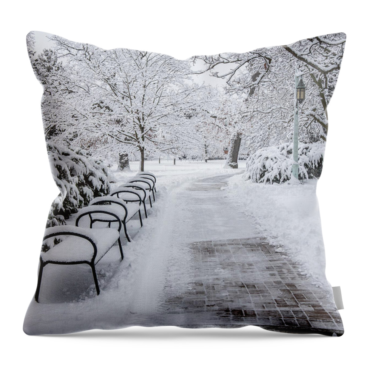 Beaumounnt Tower Winter Throw Pillow featuring the photograph Benches in Winter MSU by John McGraw