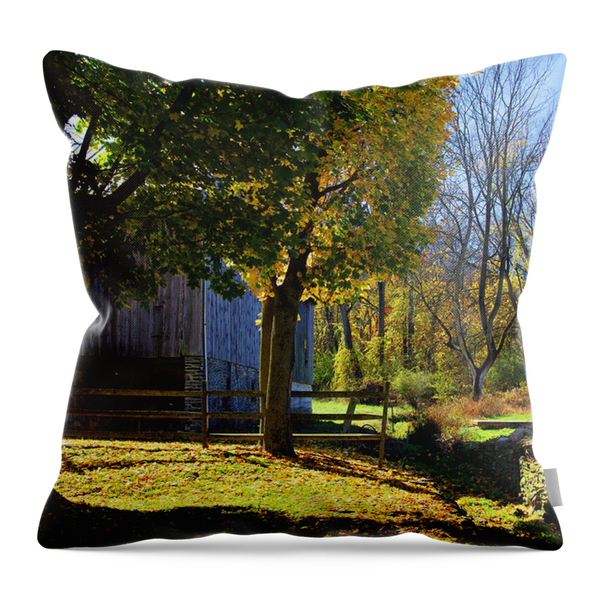 Farm Throw Pillow featuring the photograph Berks County Autumn No. 1 by Steve Ember