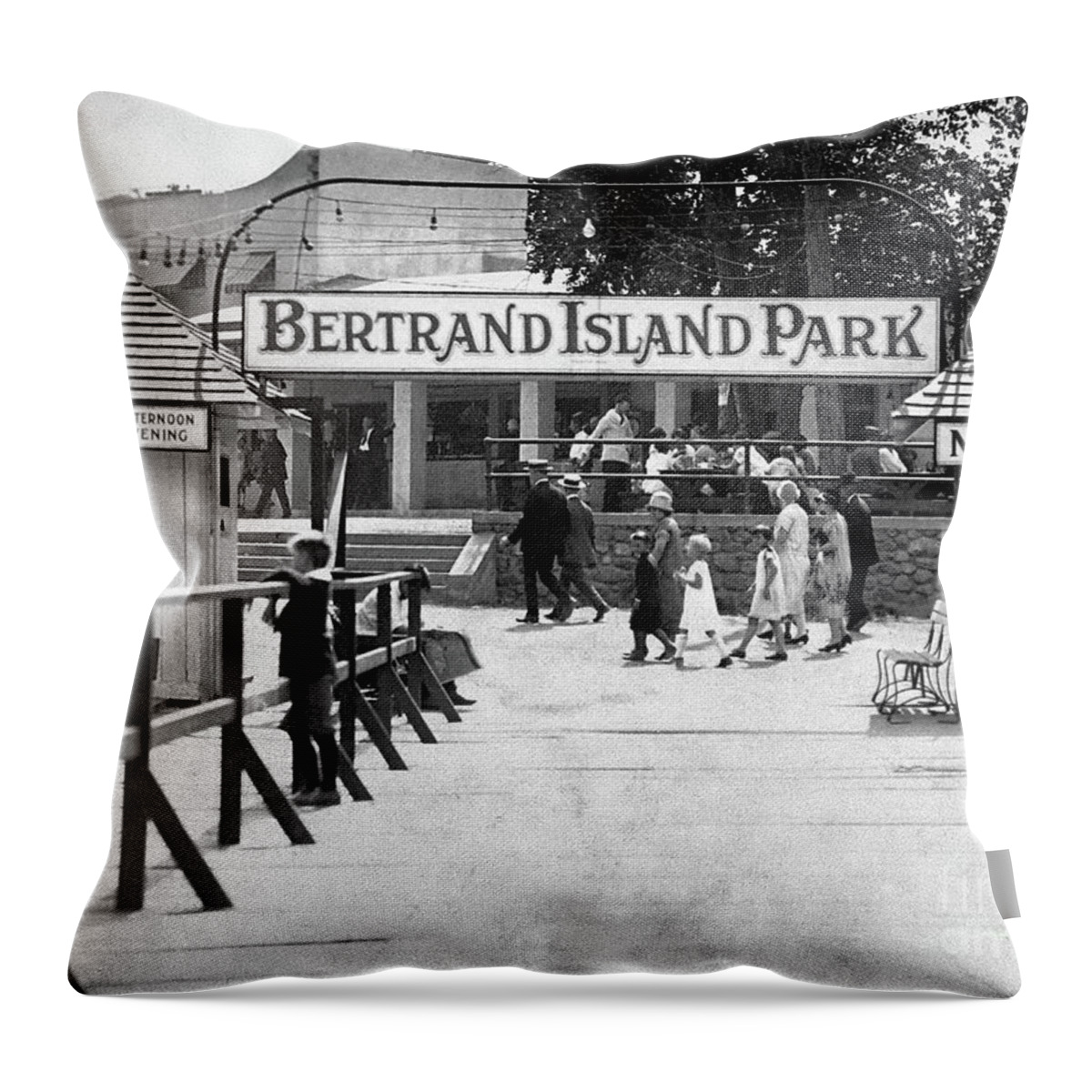 Amusement Throw Pillow featuring the photograph Bertrand Island Park by Mark Miller