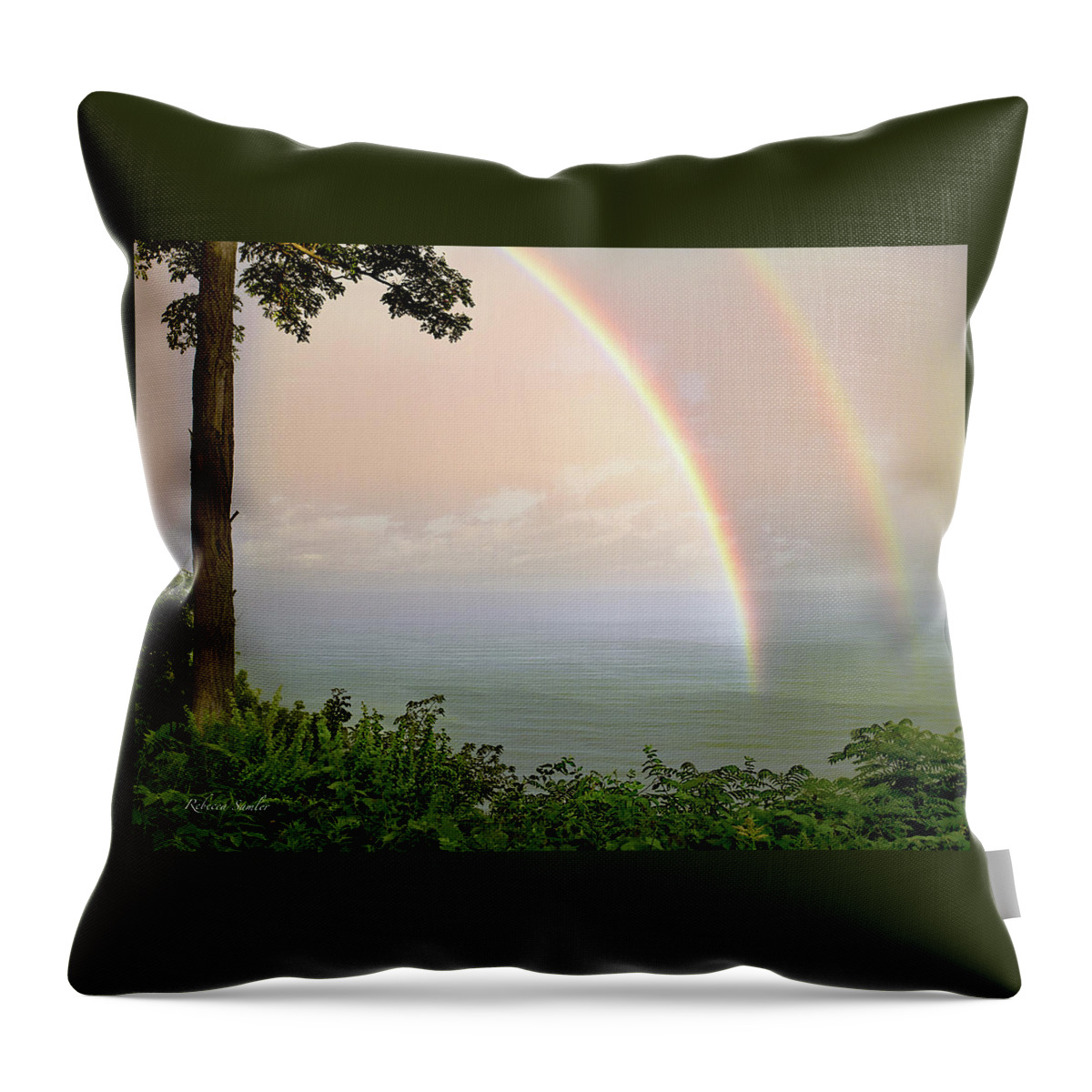 Rainbow Throw Pillow featuring the photograph Better Days Ahead by Rebecca Samler