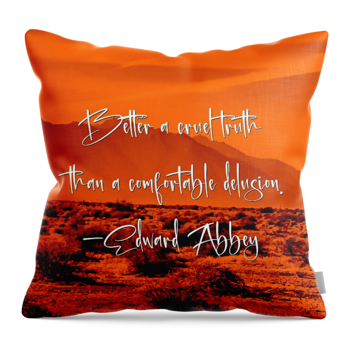 Edward Abbey Throw Pillow featuring the photograph Better by Judy Kennedy