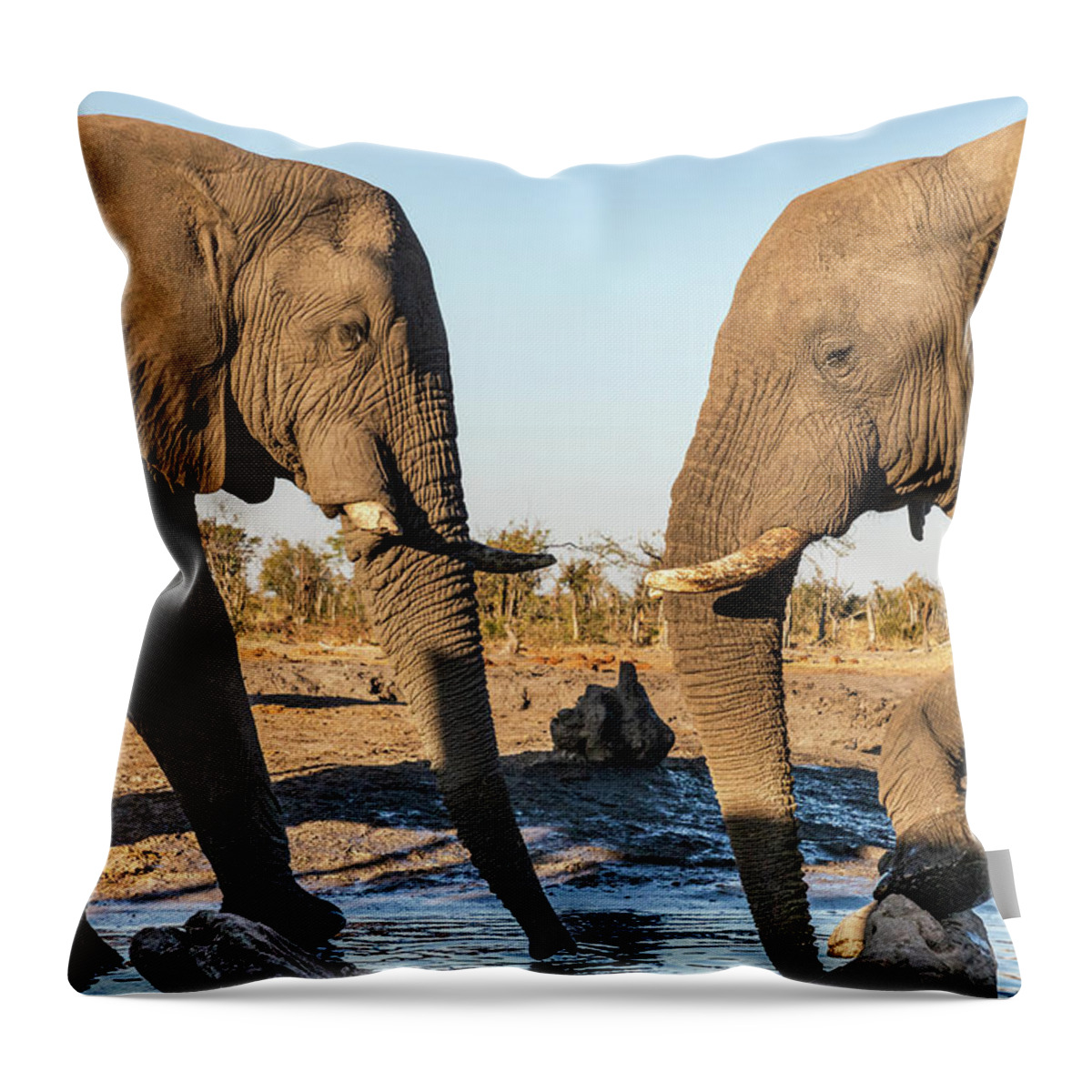 African Elephant Throw Pillow featuring the photograph Between Friends by Elvira Peretsman