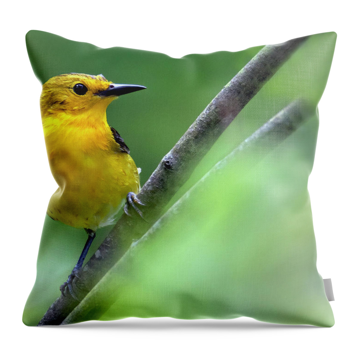 Bird Throw Pillow featuring the photograph Between the Leaves by Art Cole