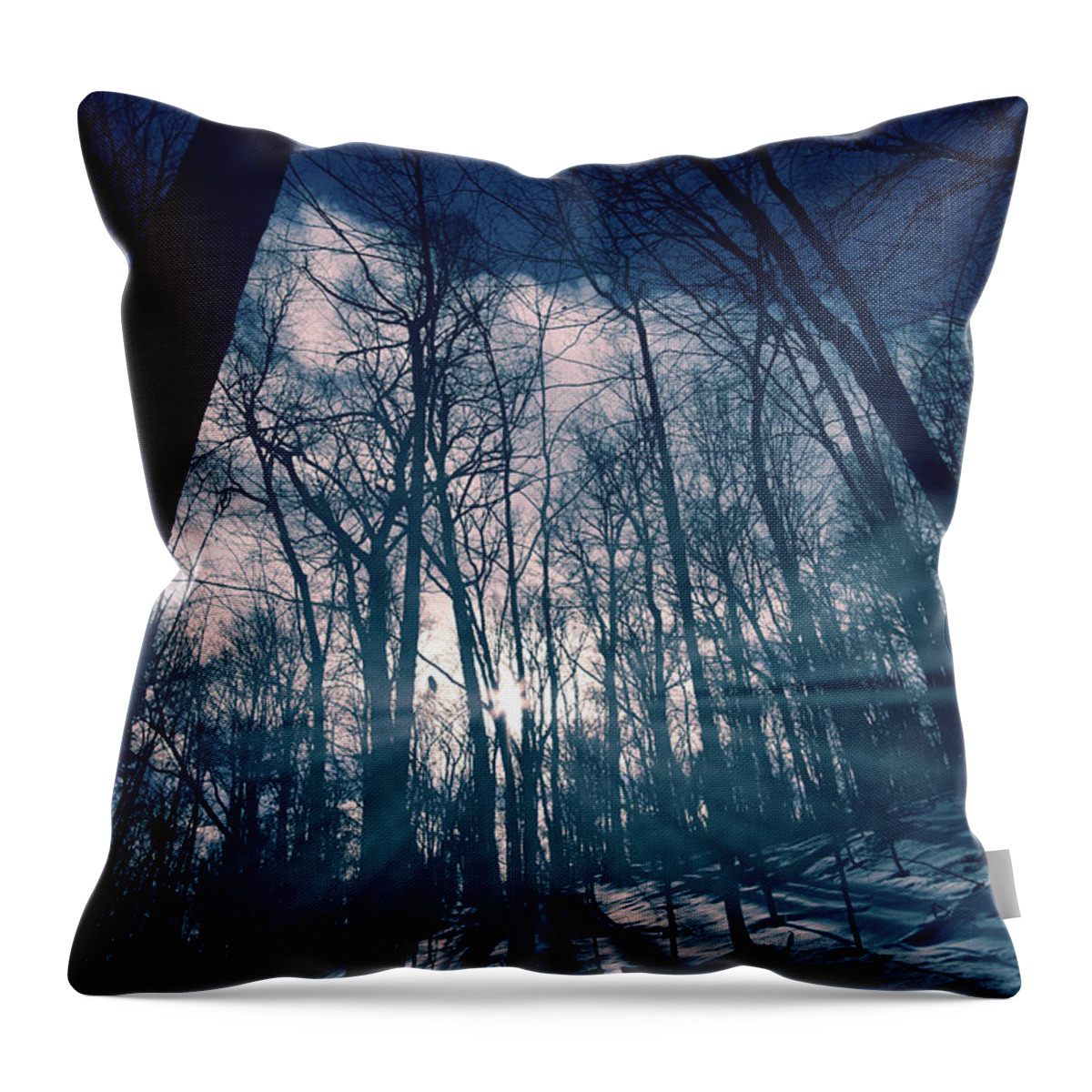 Light Throw Pillow featuring the photograph Between The Light And The Shadow by Carl Marceau