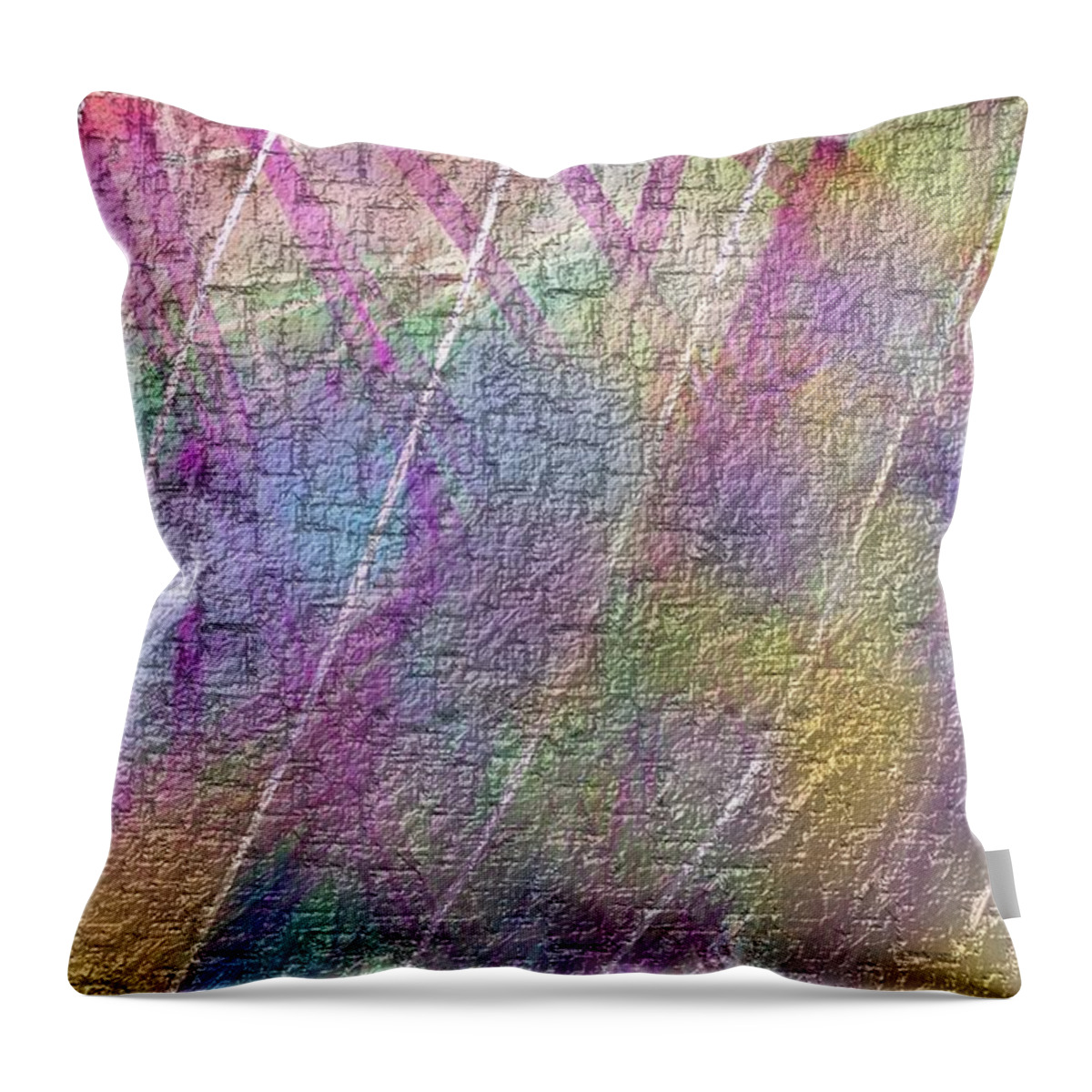 Abstract Throw Pillow featuring the painting Between the Lines by Naomi Jacobs