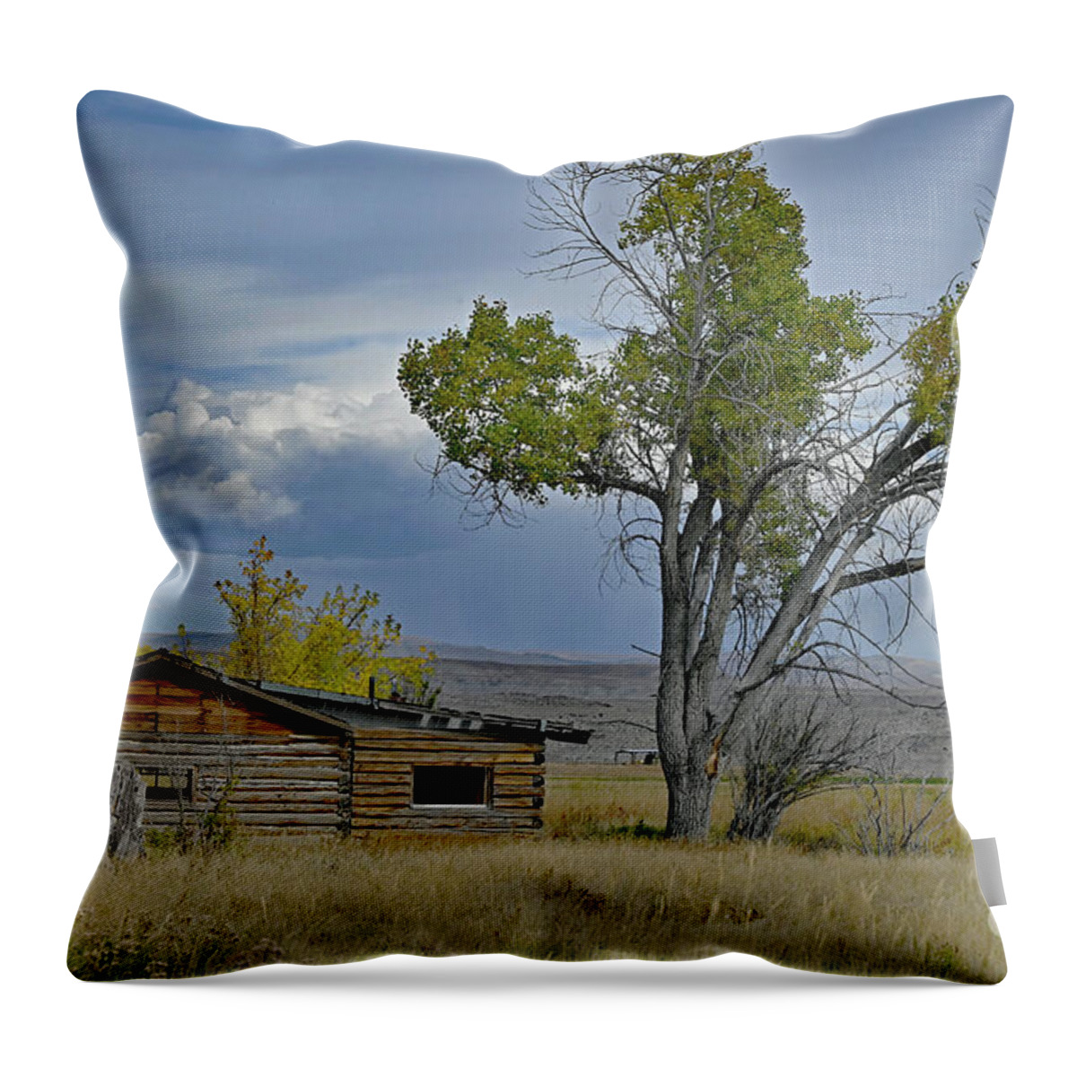 Wyoming Throw Pillow featuring the photograph Beyond Repair by Debby Pueschel