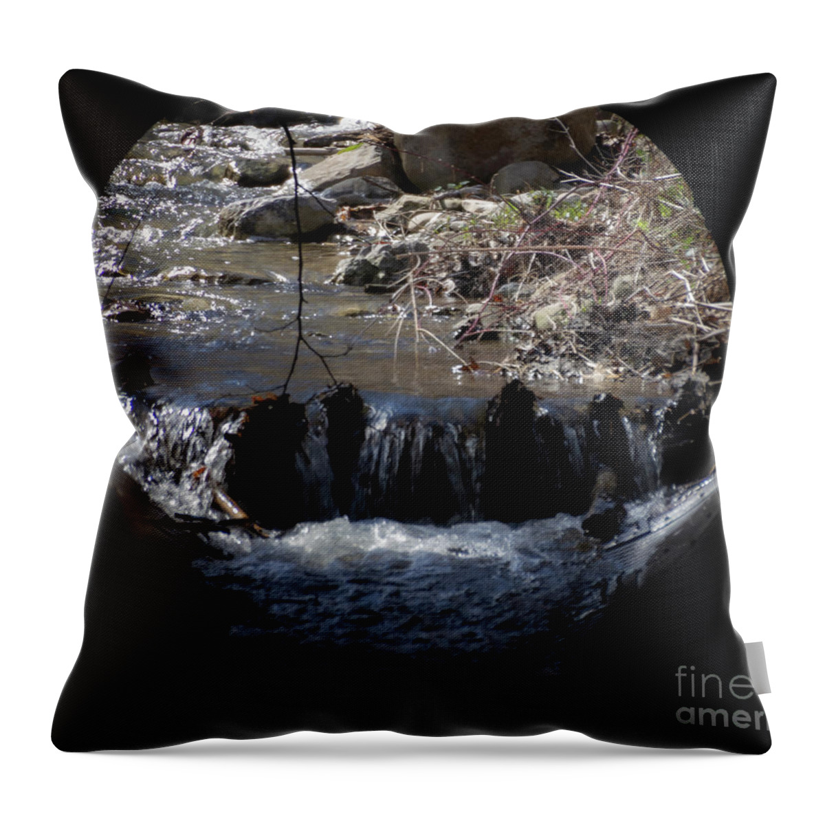 Nature Throw Pillow featuring the photograph Beyond the Drain by William Norton
