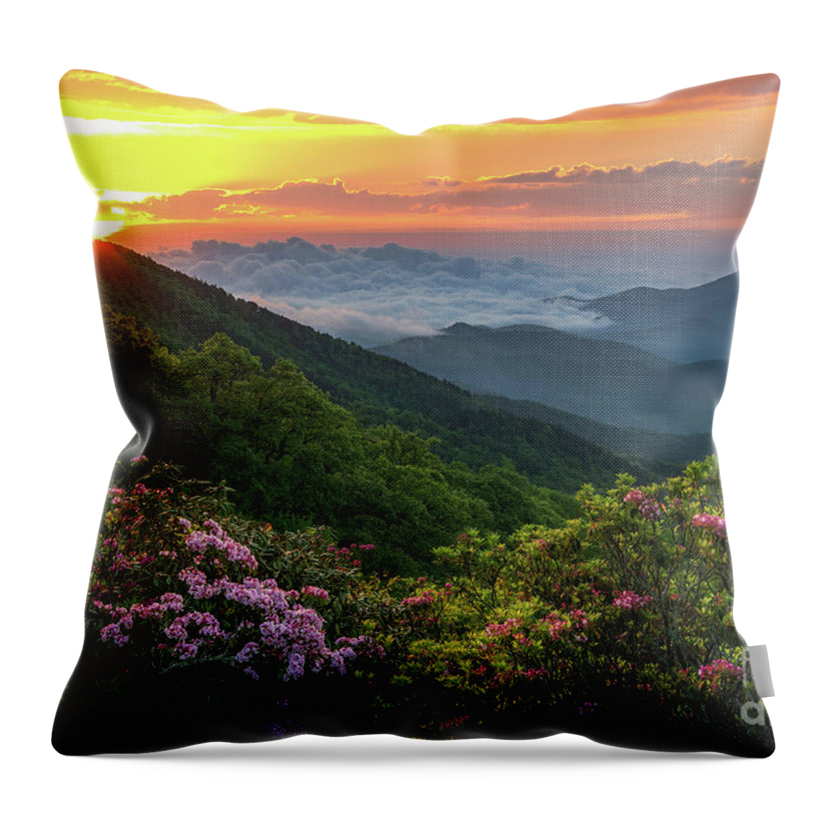 Mountain Throw Pillow featuring the photograph Beyond the Laurels by Anthony Heflin