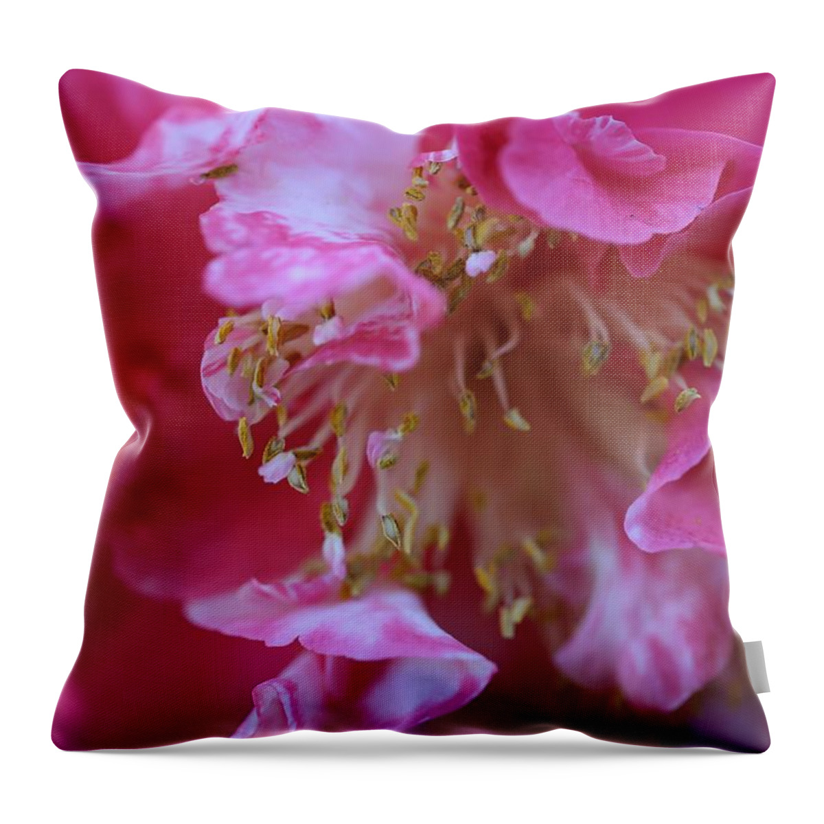 Camellia Throw Pillow featuring the photograph Bi-Color Camellia by Mingming Jiang