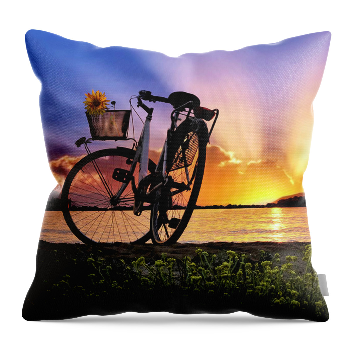 Bike Throw Pillow featuring the photograph Bicycle at the Shore by Debra and Dave Vanderlaan