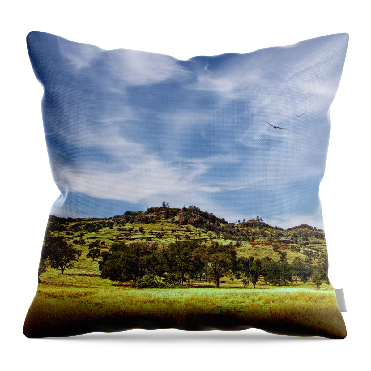 Canyon Throw Pillow featuring the photograph Bidwell Park by Frank Wilson