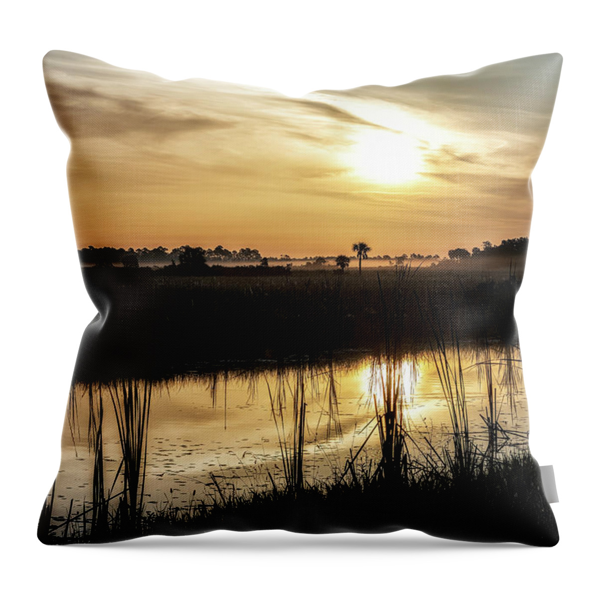 Big Cypress National Preserve Throw Pillow featuring the photograph Big Cypress Sunrise by Rudy Wilms