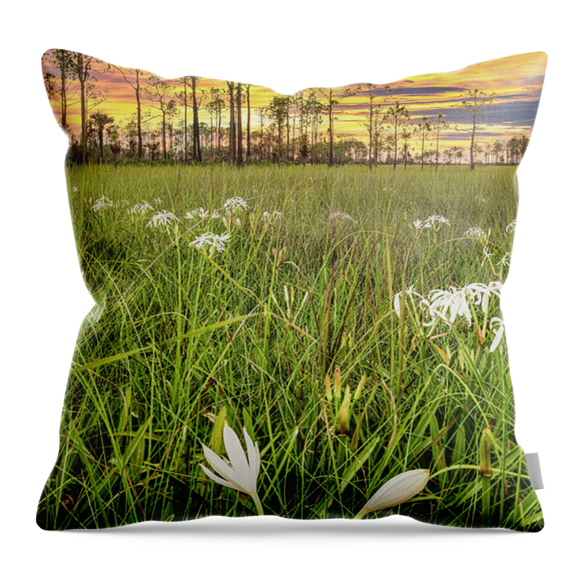 Big Cypress National Preserve Throw Pillow featuring the photograph Big Cypress Swamp Lily by Rudy Wilms