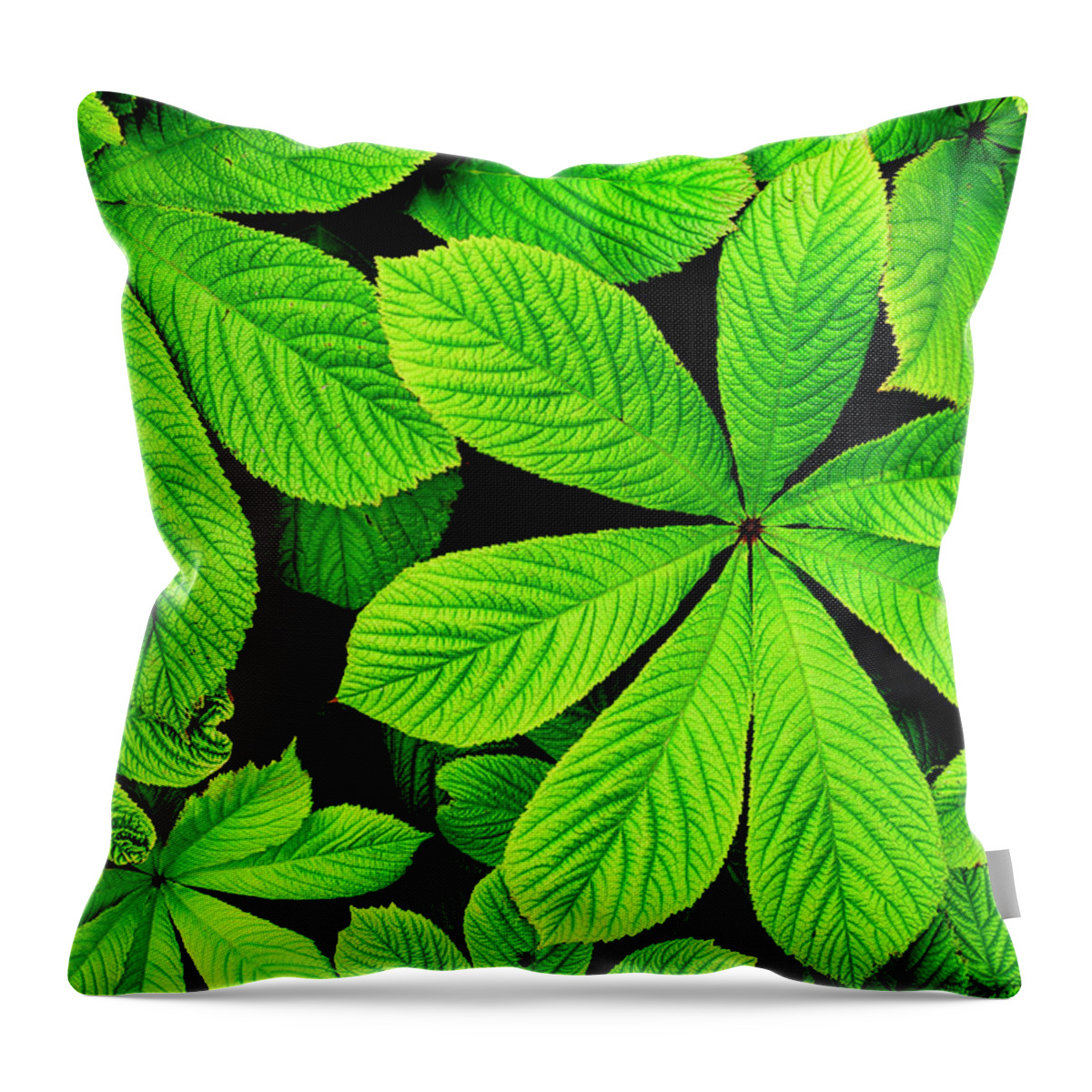 Green Throw Pillow featuring the photograph Big green leaves background by Severija Kirilovaite