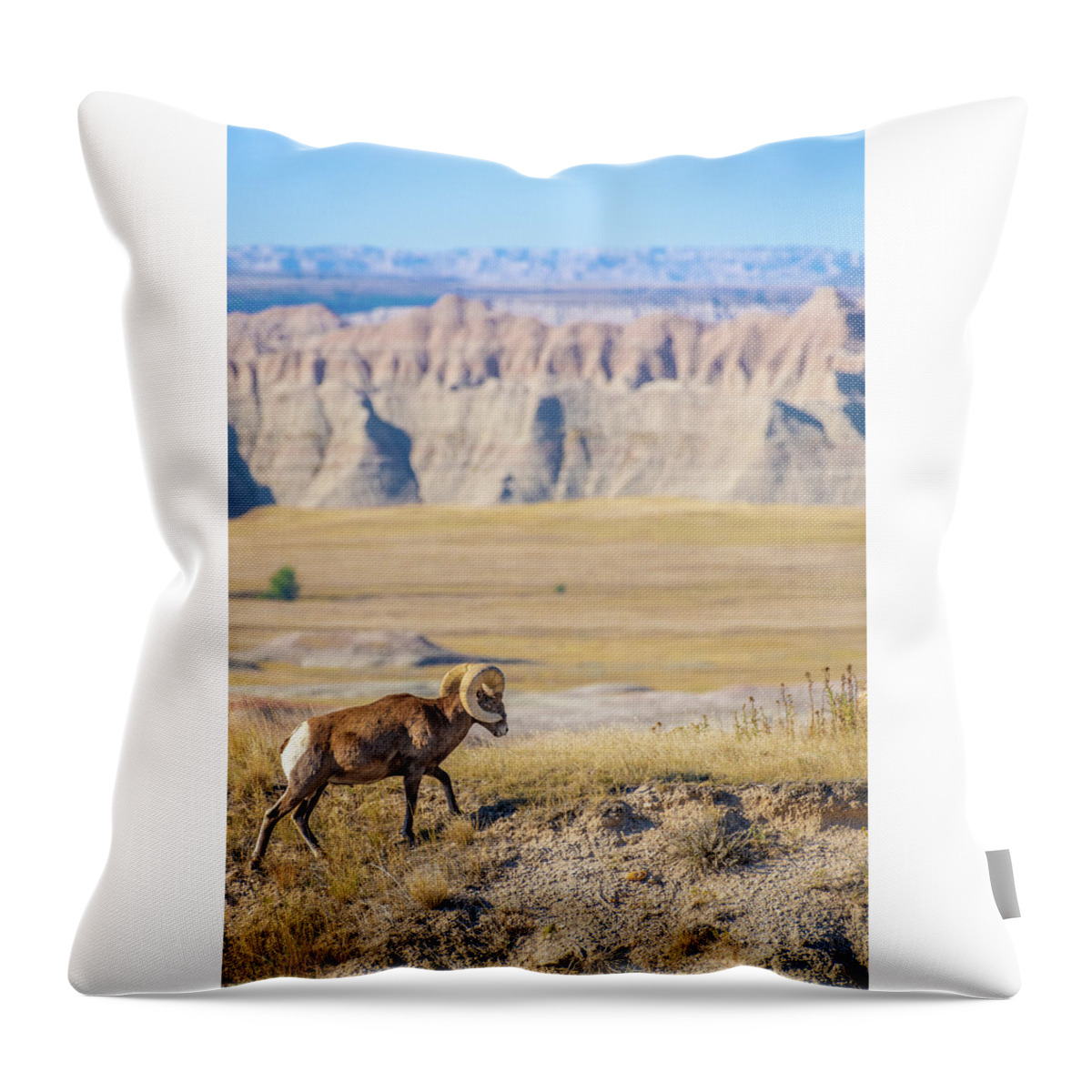 America Throw Pillow featuring the photograph Big Horn Posing in the Badlands by Erin K Images