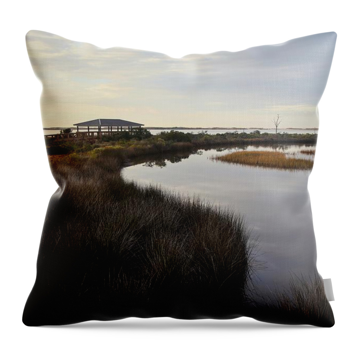  Throw Pillow featuring the photograph Big Lagoon Print 13 by Gary Oliver