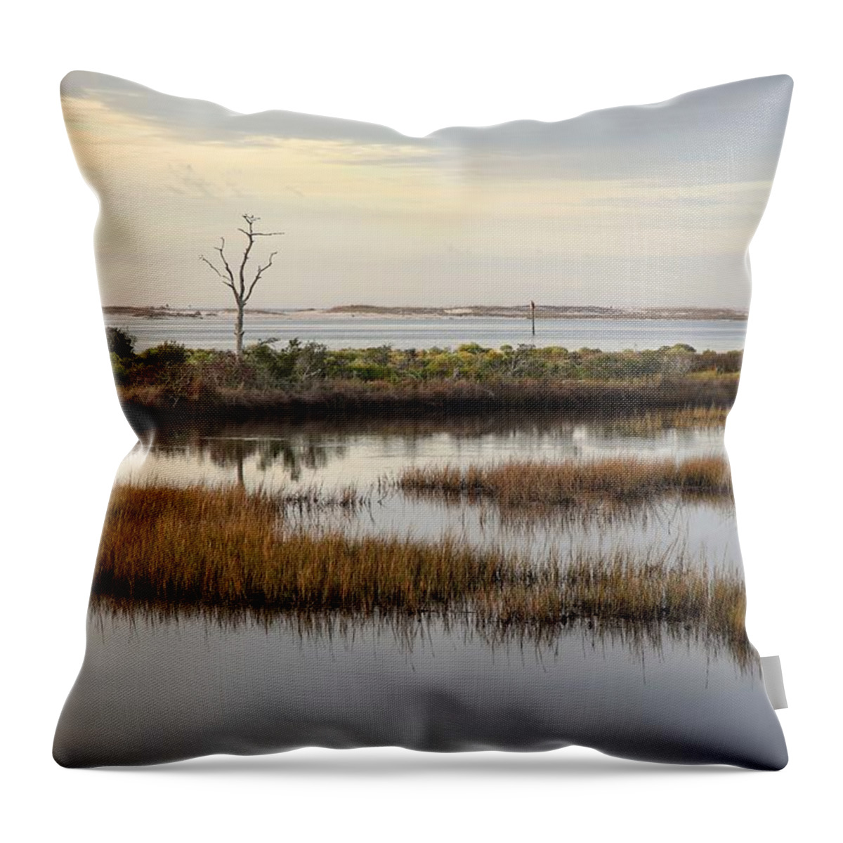 Perdido Key Throw Pillow featuring the photograph Big Lagoon Print 20 by Gary Oliver