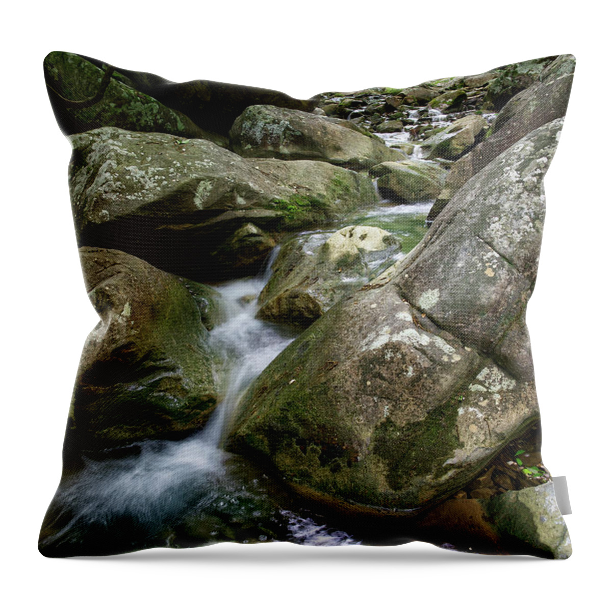 Big Laurel Falls Throw Pillow featuring the photograph Big Laurel Creek 5 by Phil Perkins