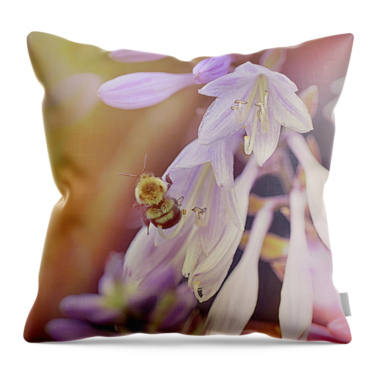 Bee Throw Pillow featuring the photograph Big Ole Bee by Sue Capuano