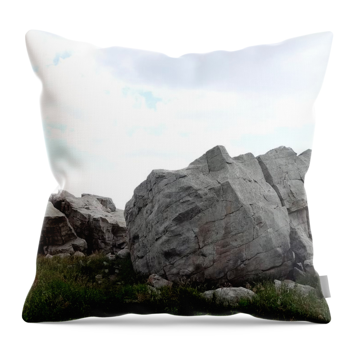 Glacial Erratic Throw Pillow featuring the photograph Big Rock 1 by Lisa Mutch