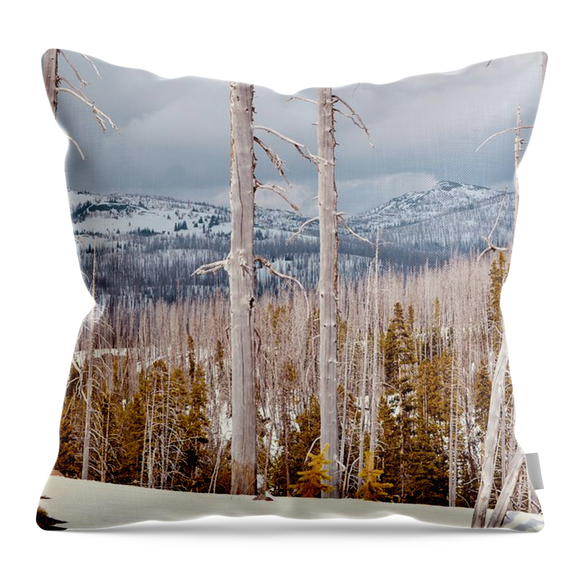 Trees Throw Pillow featuring the photograph Big Sky Country by Carolyn Mickulas